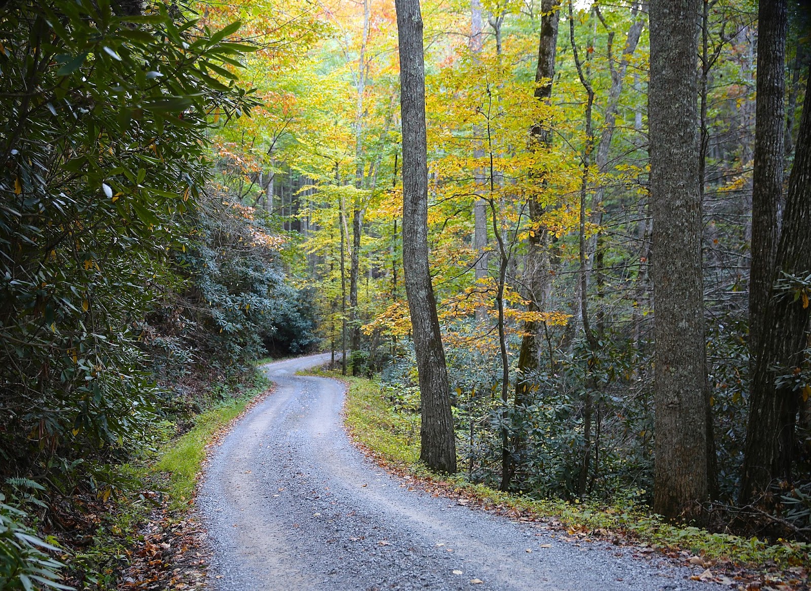 Sweet Southern Days Parson Branch Road In The Great Smoky Mountains