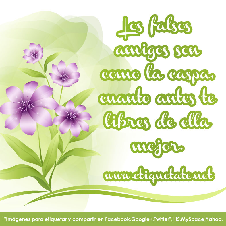 FRASES AMIGOS FALSOS frases amigos falsos: