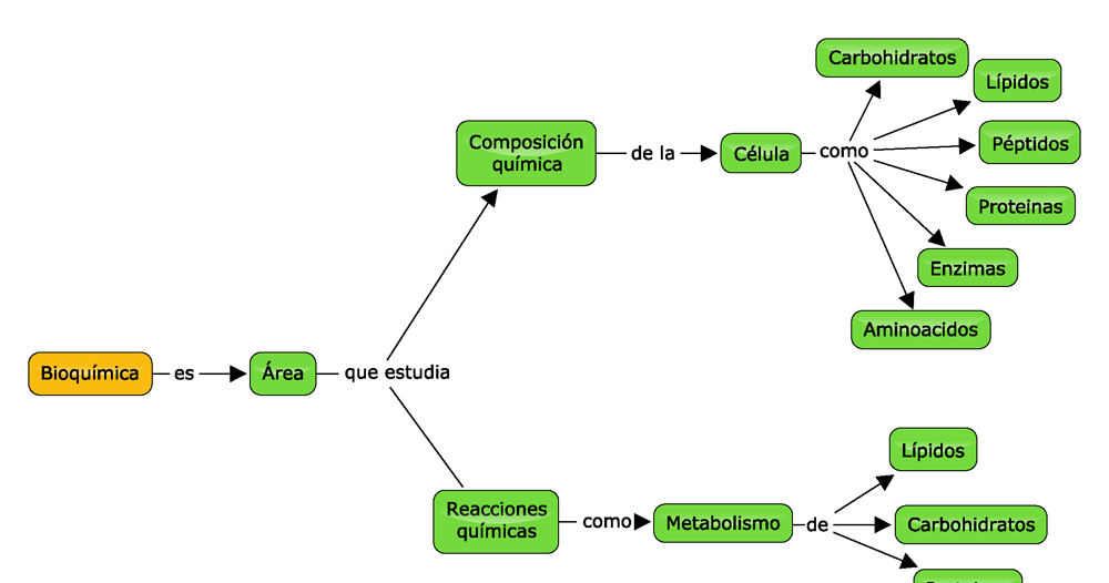 Blog de química cuarto periodo Taller de bioquimica.