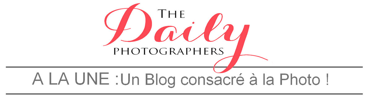 The Daily Photographers 