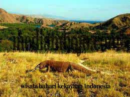 Dua Pulau Andalan Indonesia