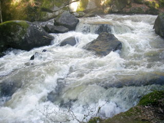 Nunc Hic Page 28 Chan 8720313 Rssing Com