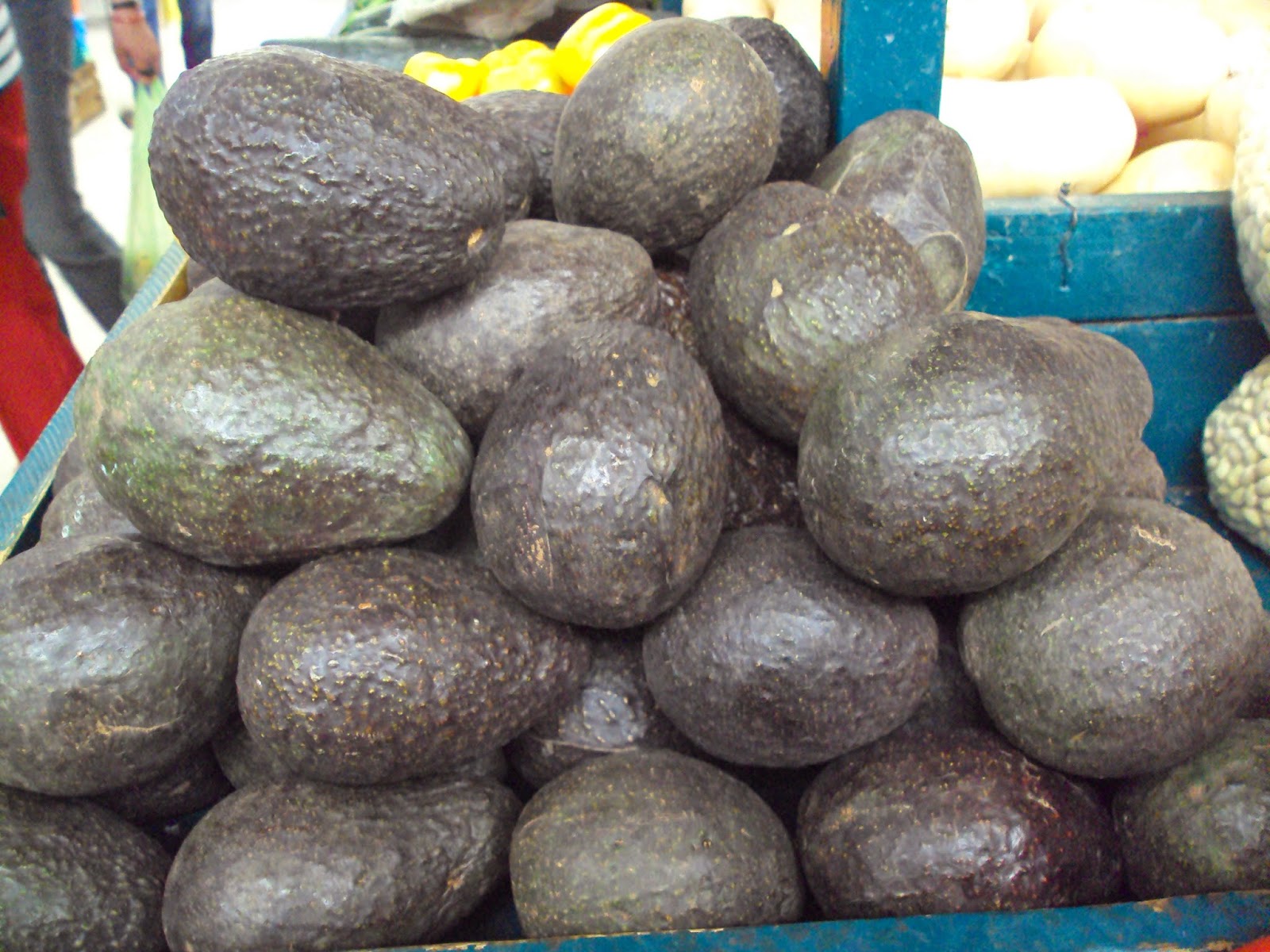 Don Lechon REFRESHING EXOTIC FRUITS IN MEXICO