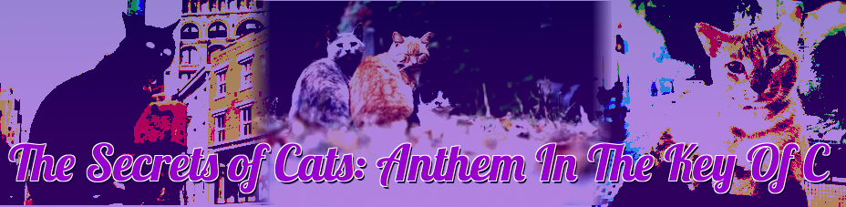The Secrets of Cats: Anthem In The Key Of C