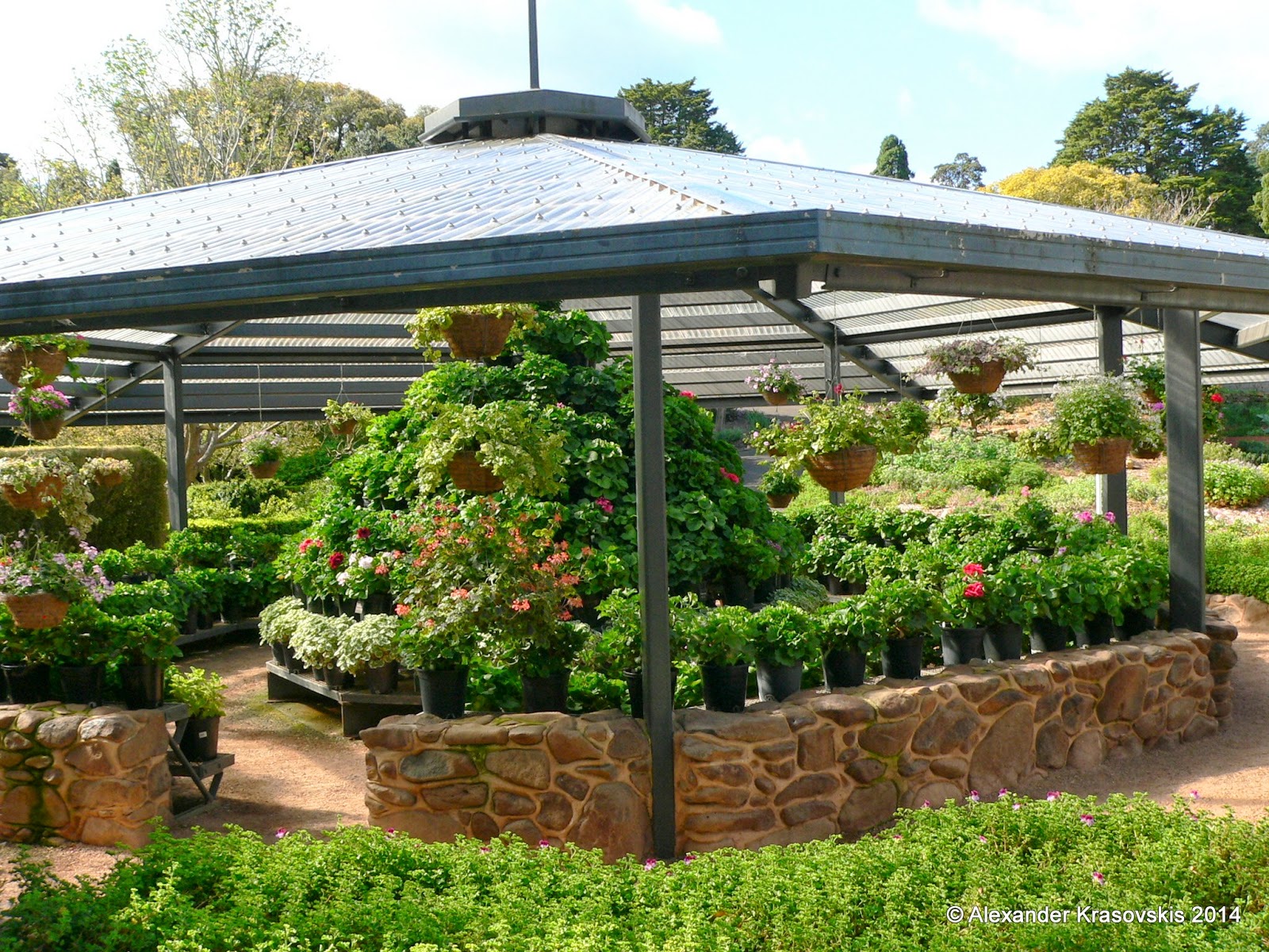 Aggregata Plants & Gardens Visit to the Geelong Botanic Gardens in