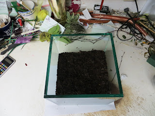 how to make a terrarium