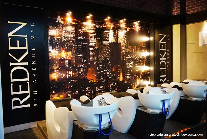 Chocolate Cats Redken Frizz Dismiss Pamper Session