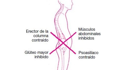 El Libro De La Espalda