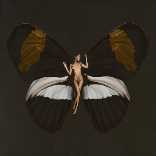 carsten witte mulheres nuas peladas como borboletas asas psique