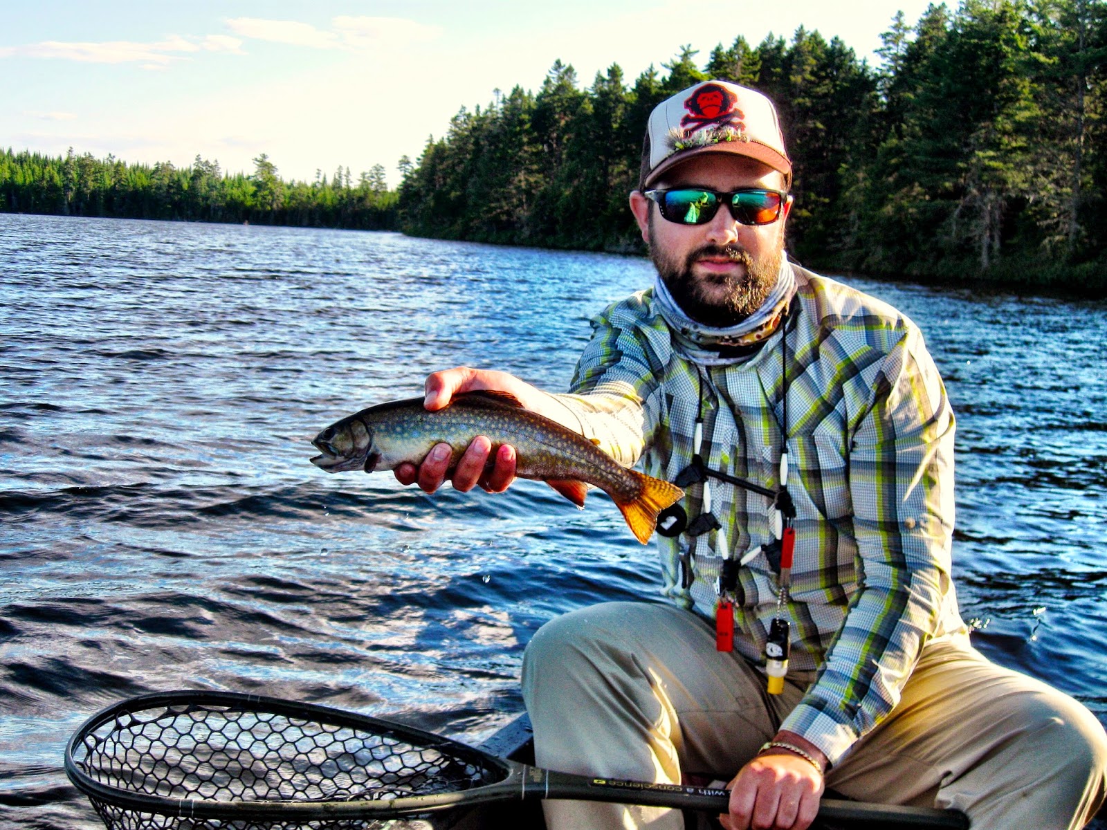 Brook Trout Maine Ponds