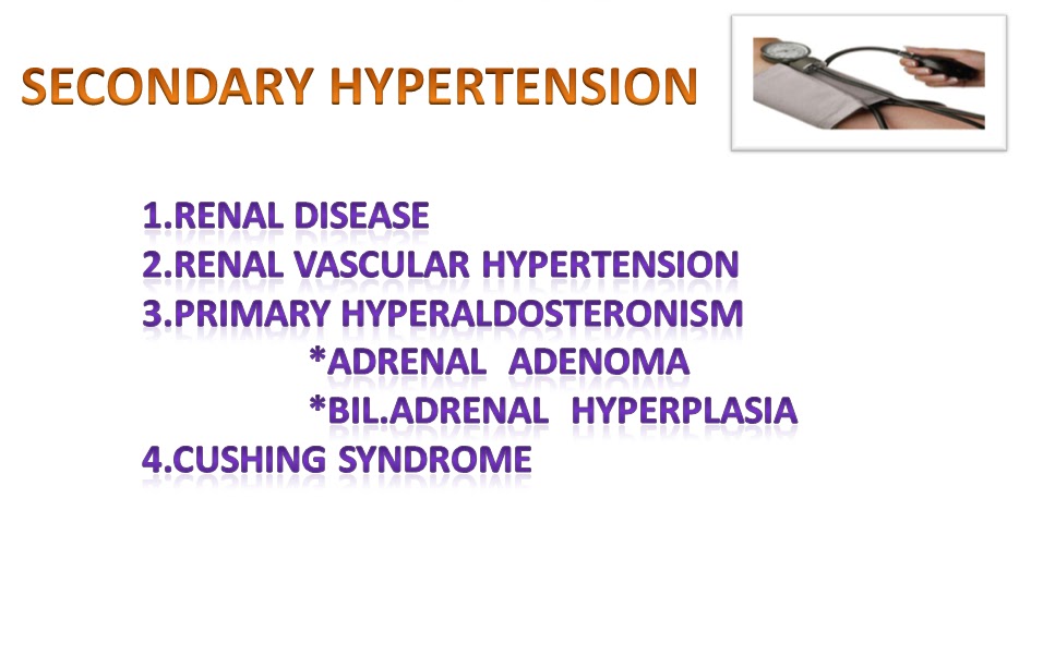 What are propranolol 10mg tablets used for kidney stones