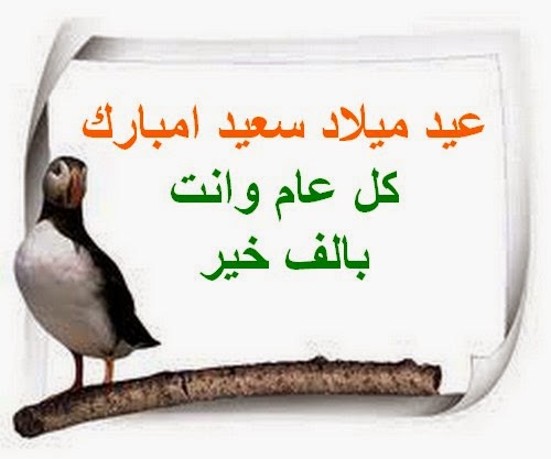 عيد ميلاد سعيد عيد ميلاد سعيد امبارك خلدجة امبارك