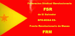 Federación Sindical Revolucionaria - FSR - COESS - MOESS -