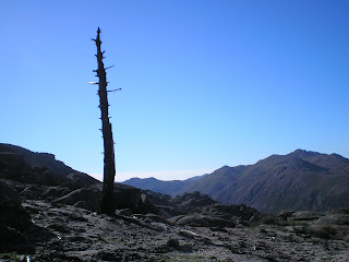 Trilho da Calcedónia - Gerês