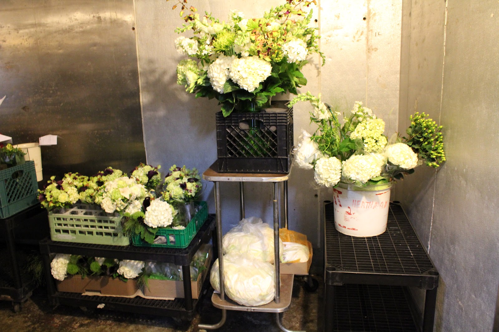 Wedding Setup Novelty Hill + Januik