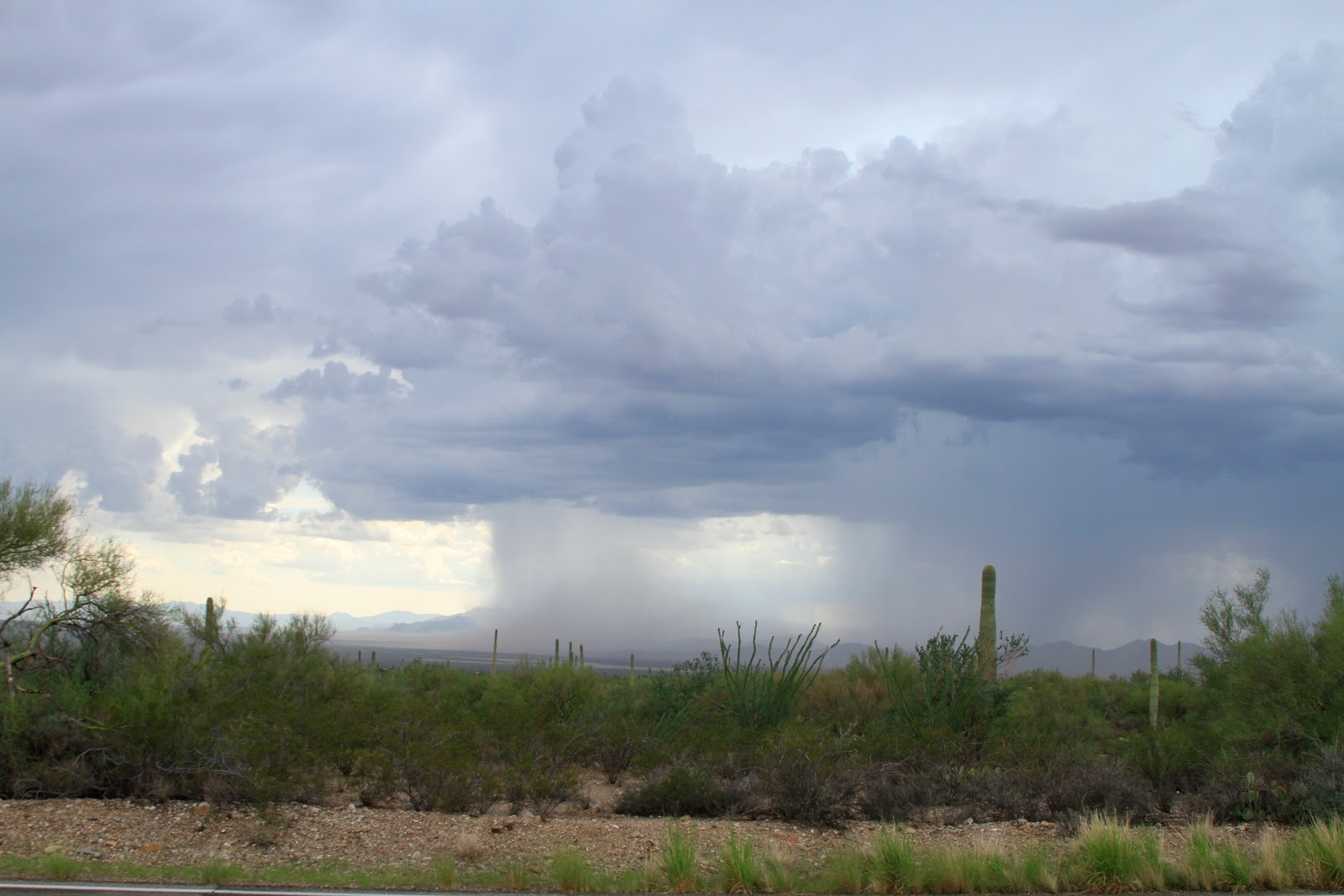 Sonoran Connection Anatomy of Two Arizona Storms