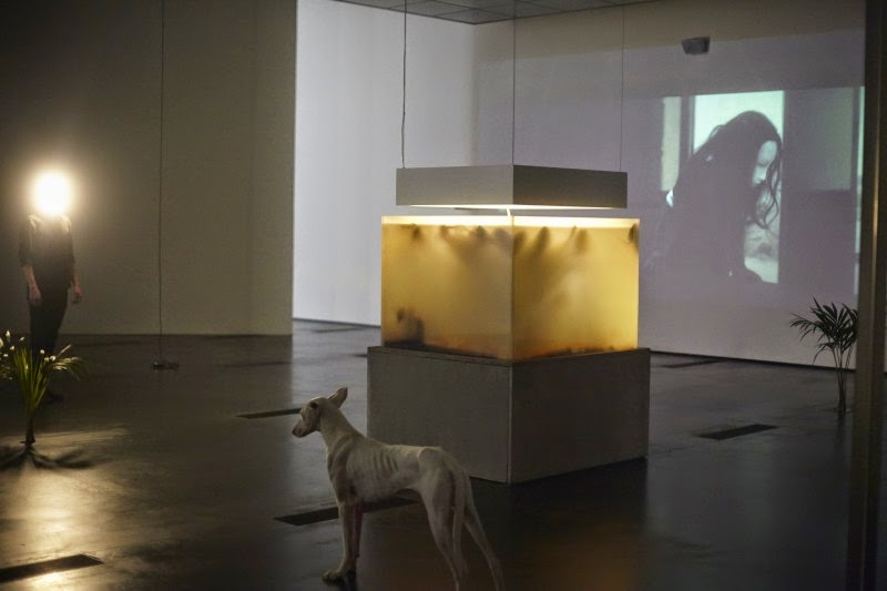 Installation photo of the exhibition, Pierre Huyghe, 
at the Los Angeles County Museum of Art (LACMA), November 2014 - February 2015.
© Pierre Huyghe. Photo by Ola Rindal