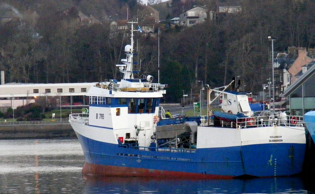 naval gazer