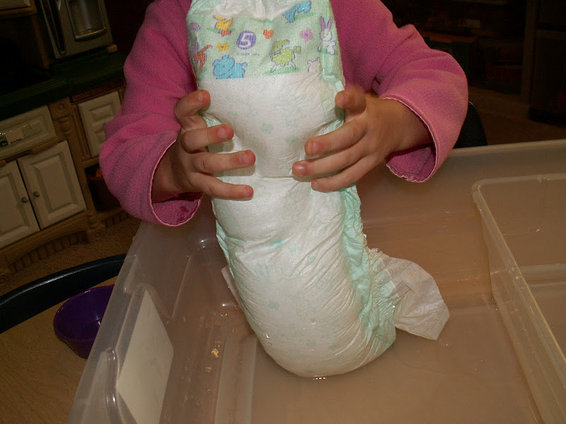 "The Kids Place" Home Daycare and Preschool "Chrysanthemum