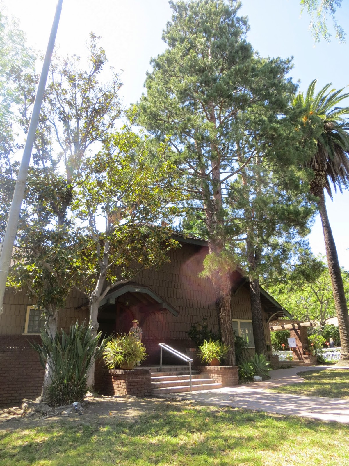 Sweetie Suz The Rosenberg Wedding, Eagle Rock, California May 2, 2015