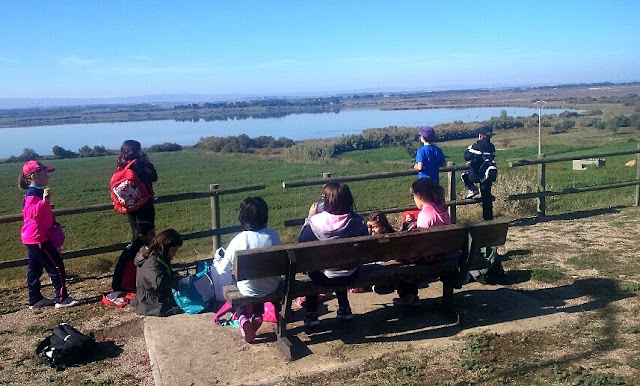 Foto de Laguna de Sariñena en Lanaja, Huesca
