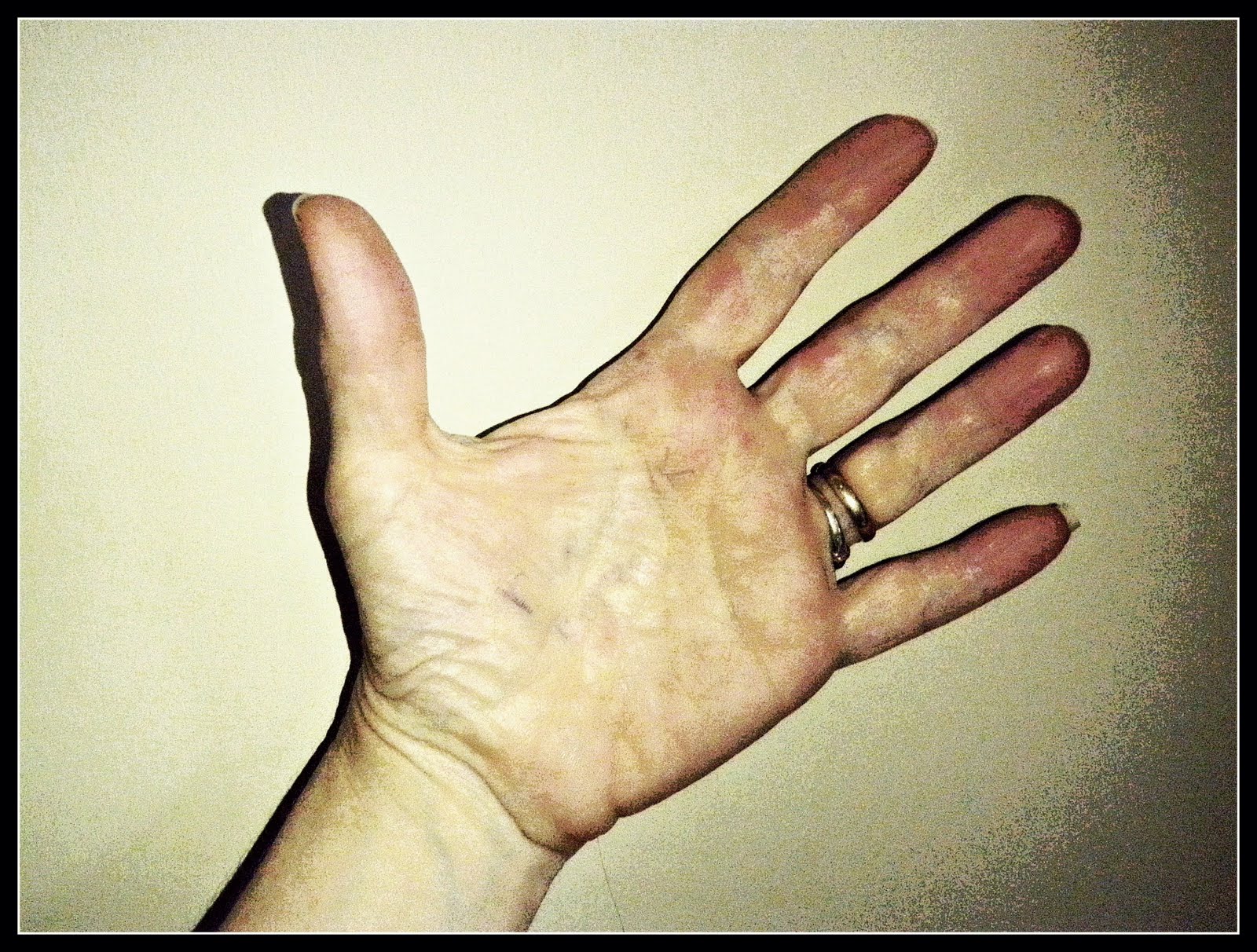 Musings from Graceland