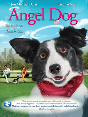 Ver Angel dog (2011) online Peliculas online