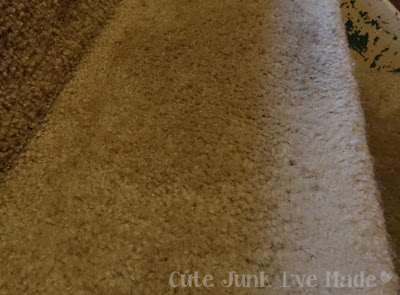 Miracle Carpet Cleaner - Basement Step, close up