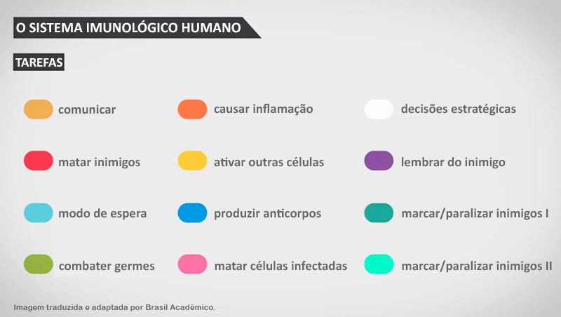 Fungo de pele em pregos