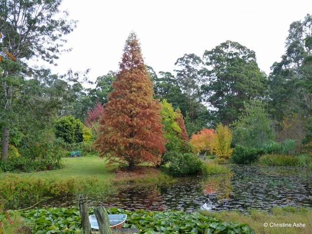 Christmas Hills: Autumn colours in Australia
