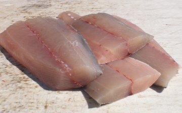 Mackerel fillets; image from http://miamifishhouse.com Mackerel fillets; image from http://miamifishhouse.com