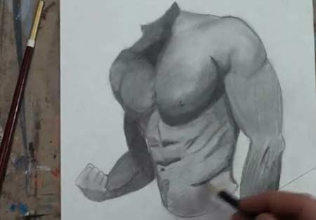 How to Draw the Male Torso