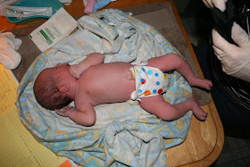 lil joey cloth diapers