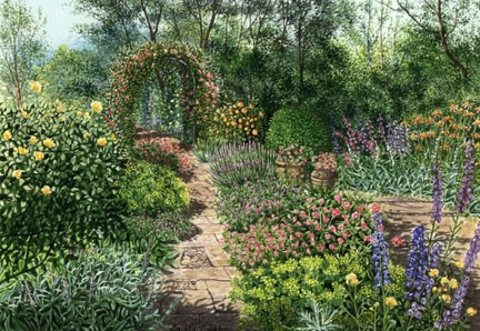 Me, Myself and Tena: What my backyard could be