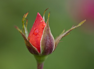 Rainer Maria Rilke 1875 1926