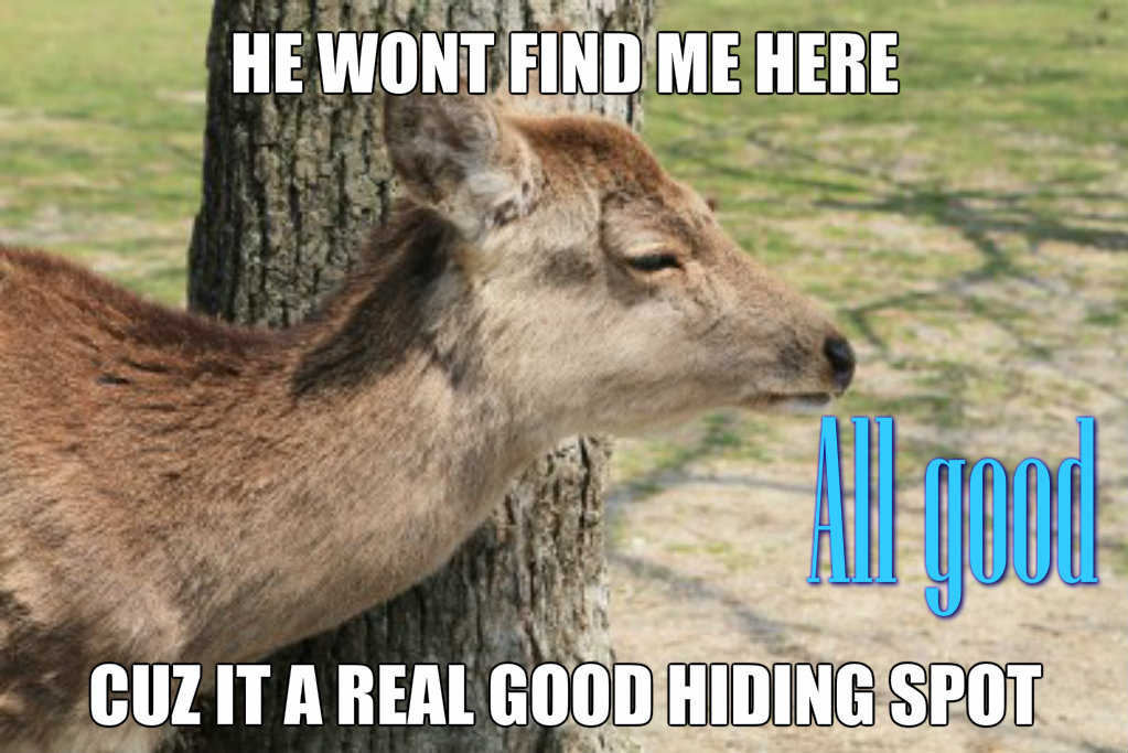 Funny Animal Memes Deer Meme