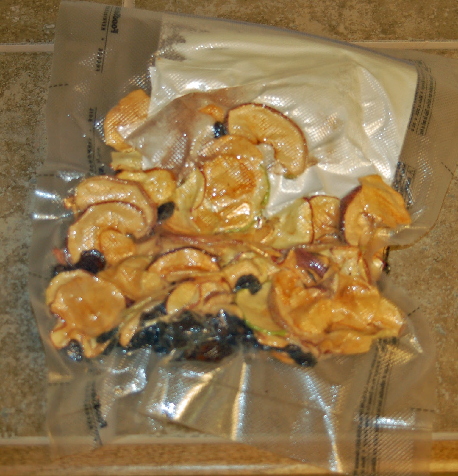 Dehydrating Way Beyond Jerky Apple Raisin Pie