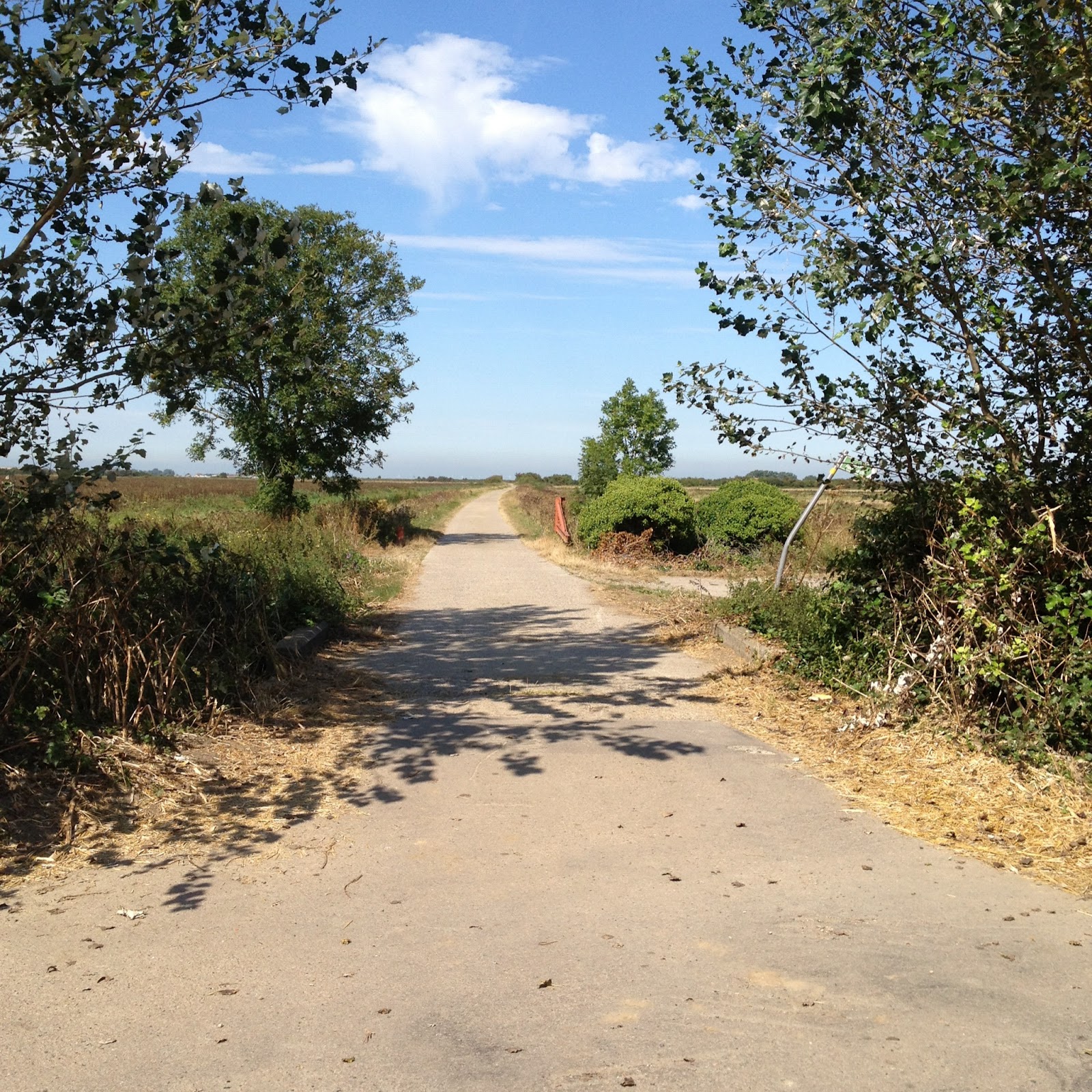 Margate Architecture Margate Dog Walks Below Minnis (Between