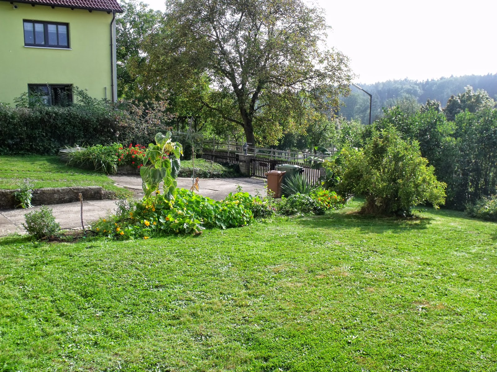 herbstliche Pflegearbeiten im Garten - Achims Garten