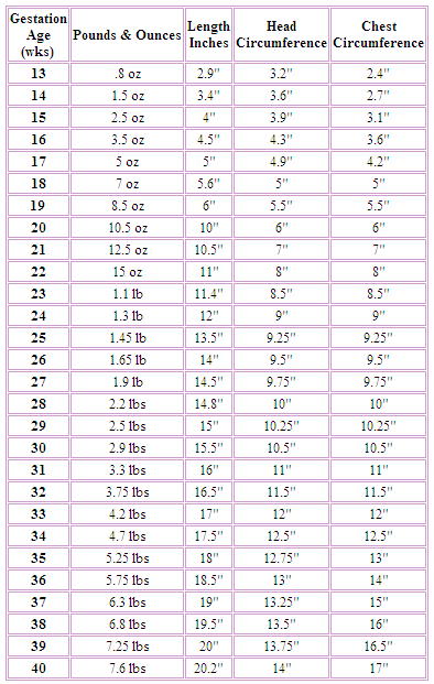 Preemie Baby Size Chart