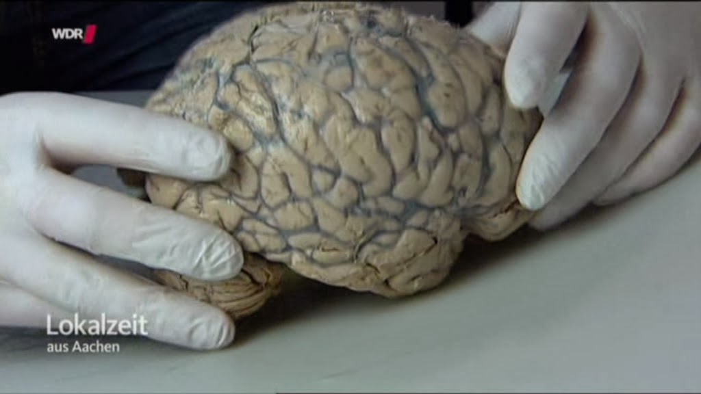 Ausstellung Page 21 Pirckheimer Gesellschaft