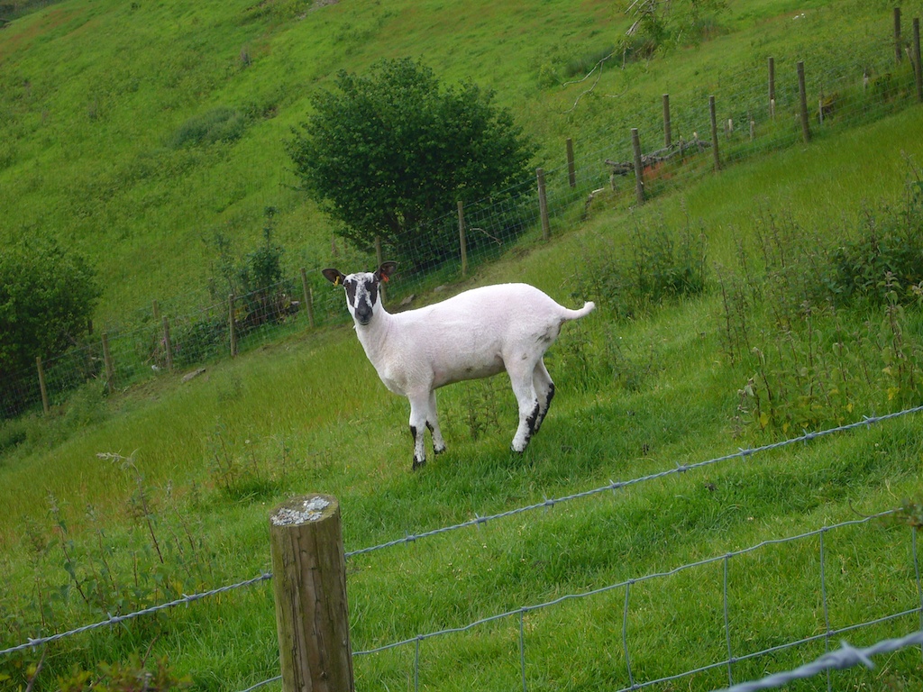 Long Mynd Madness June 2012