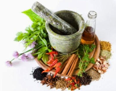 Φτιάχνω μόνος μου Σπορά φύτεμα καλλιέργεια-Παρασκευή αποθήκευση συντήρηση τροφών-Βότανα φυσικές θεραπείες υγεία διατροφή-Κατασκευές δημιουργίες ιδέες