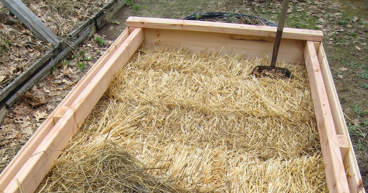 MadCityMike's Blog "Straw Filled Raised Bed....."
