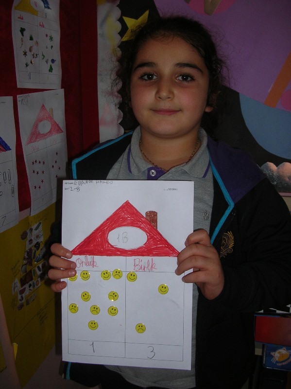 leap 3 siniflar 2011