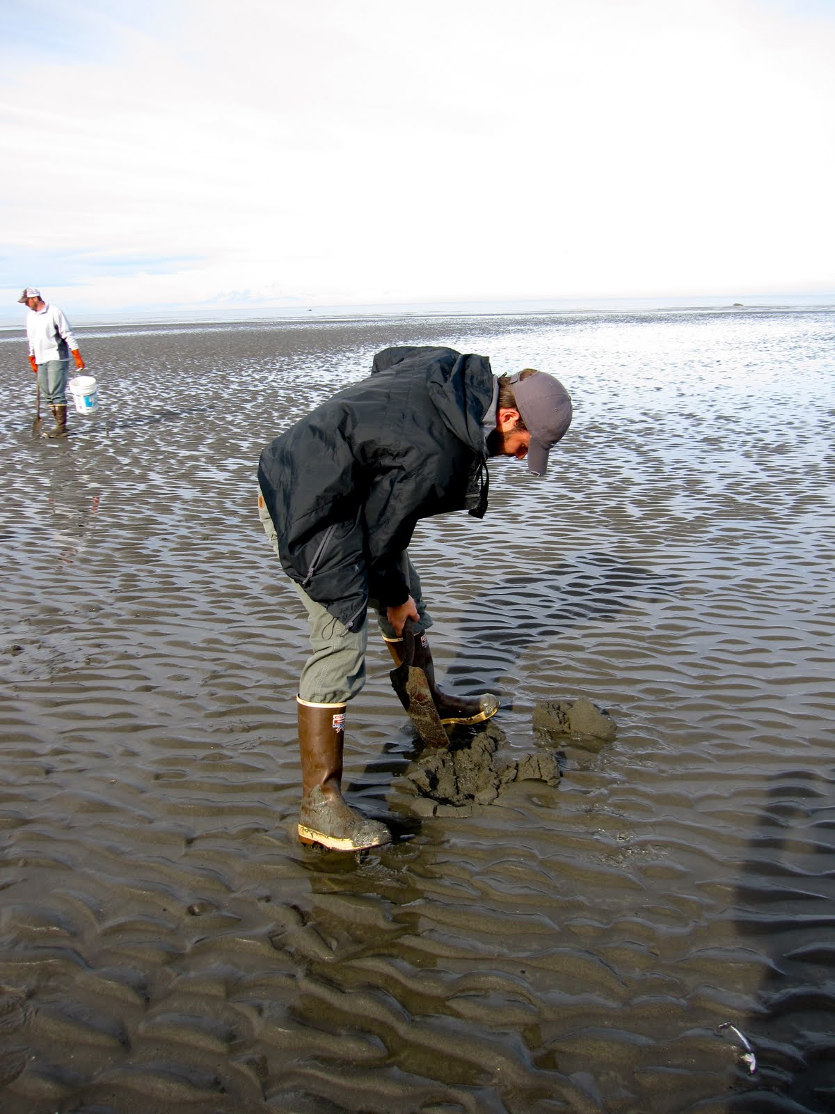 Clamming in Clam Gulch, Alaska To & Fro