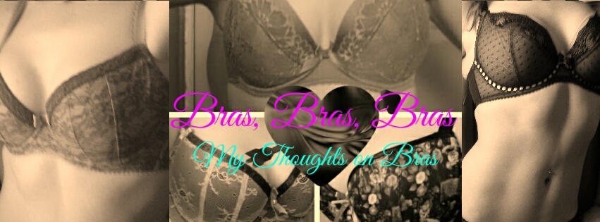 My Thoughts on Bras