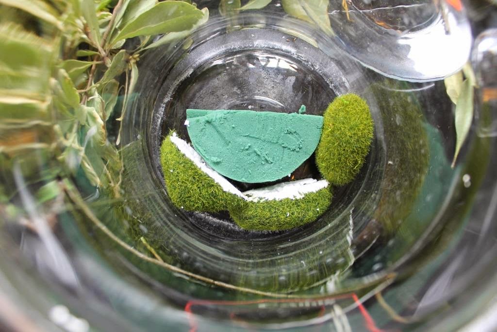 Miss Kopy Kat DIY Faux Moss Terrariums