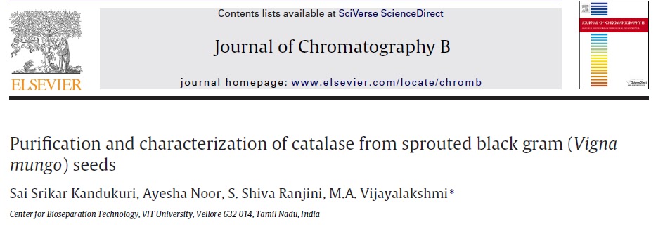 What Affects Enzymes
