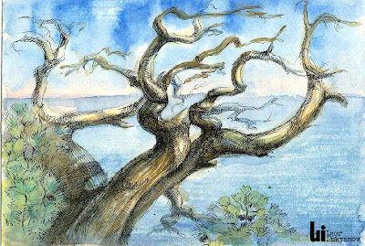 Crimea pine tree artwork